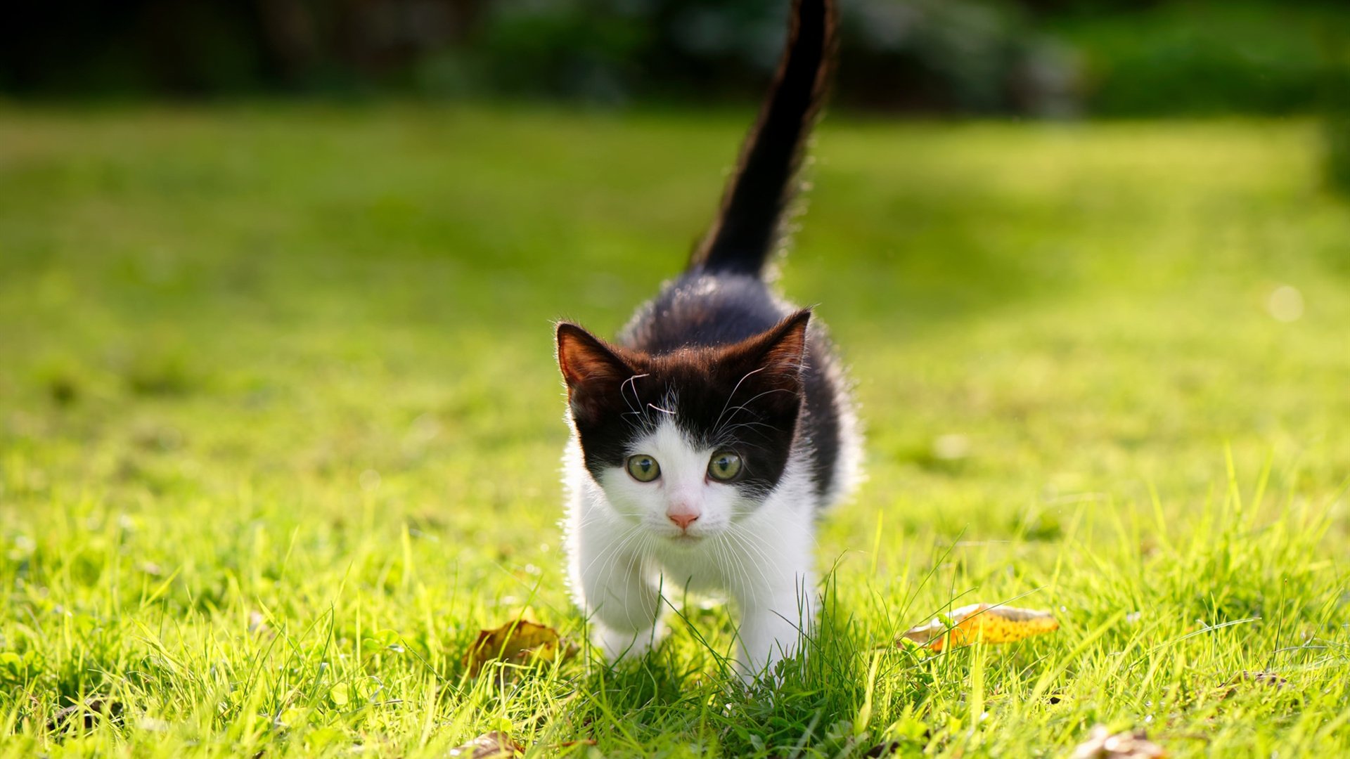 史上“爆炸反转”：谁的逆转让人难以忘怀？，爆炸是不是反冲的一种