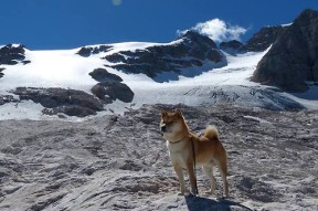 爱游戏在线登录入口-亲子趣味运动会，家庭运动新玩法