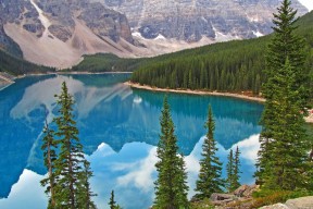 爱游戏体育平台-传统舞龙舞狮竞技，喜庆中展现运动魅力