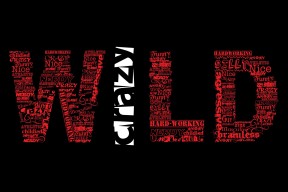 AYX官网-印度政府加大对体育的投入，推动青少年体育发展计划。，印度政府提出了什么战略构想