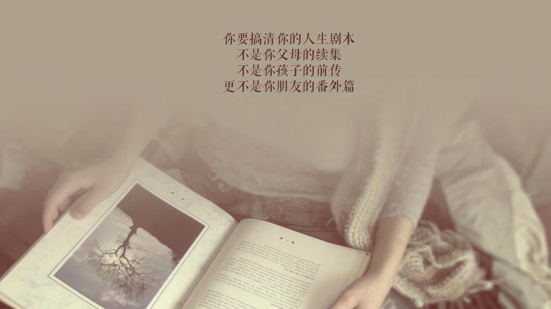 “青训基地引入国际先进设备,打造专业化育人环境”,青训中心是干嘛的