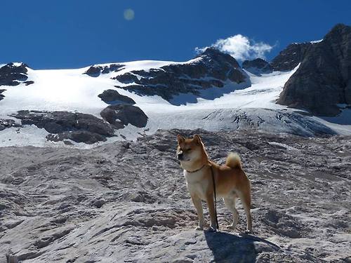 亲子趣味运动会，家庭运动新玩法