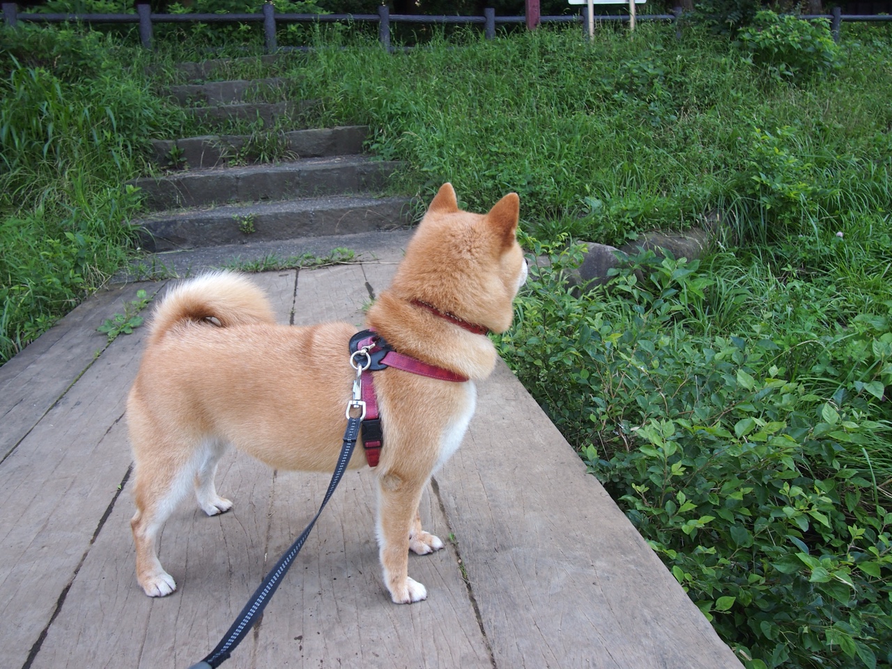 亲子趣味运动会，家庭运动新玩法